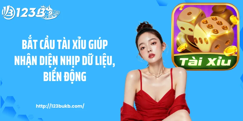 Bắt cầu tài xỉu giúp nhận diện nhịp dữ liệu, biến động