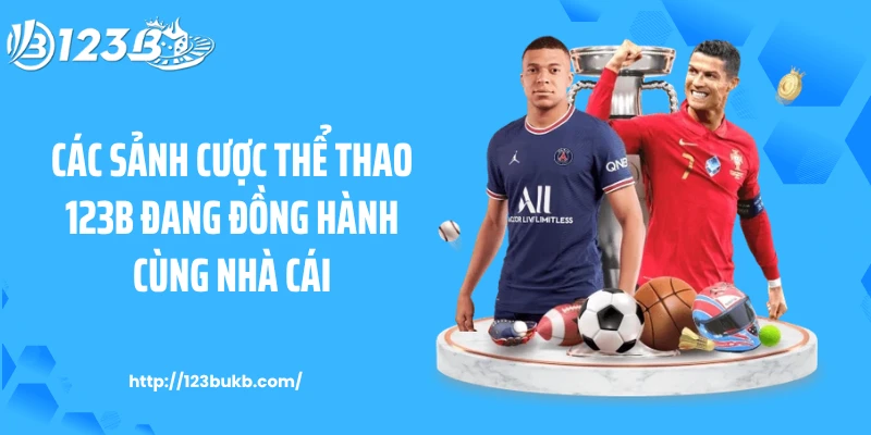 Các sảnh cược thể thao 123B đang đồng hành cùng nhà cái