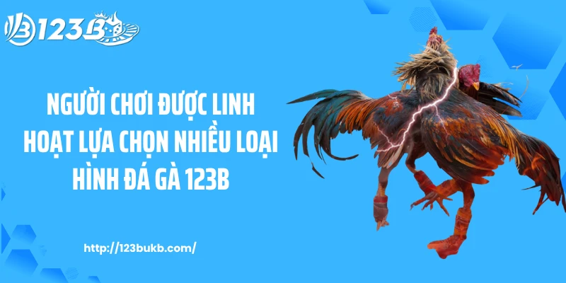 Người chơi được linh hoạt lựa chọn nhiều loại hình đá gà 123B