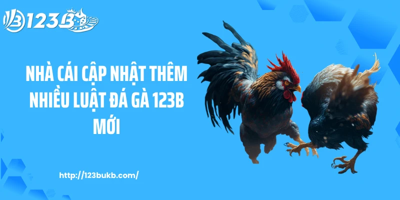 Nhà cái cập nhật thêm nhiều luật đá gà 123B mới