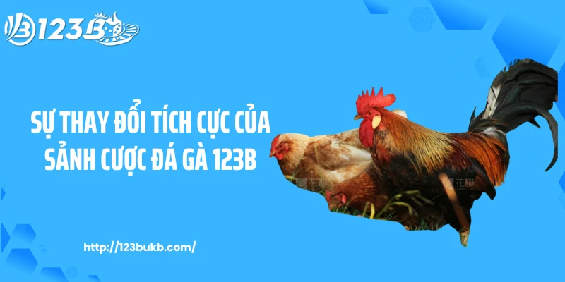 Sự thay đổi tích cực của sảnh cược đá gà 123B
