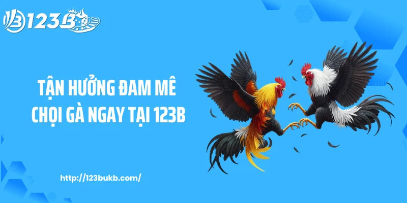 Tận hưởng đam mê chọi gà ngay tại 123B